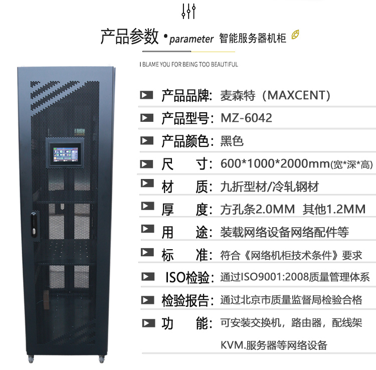 麦森特MZ-6042【2米高42u】智能机柜产品参数